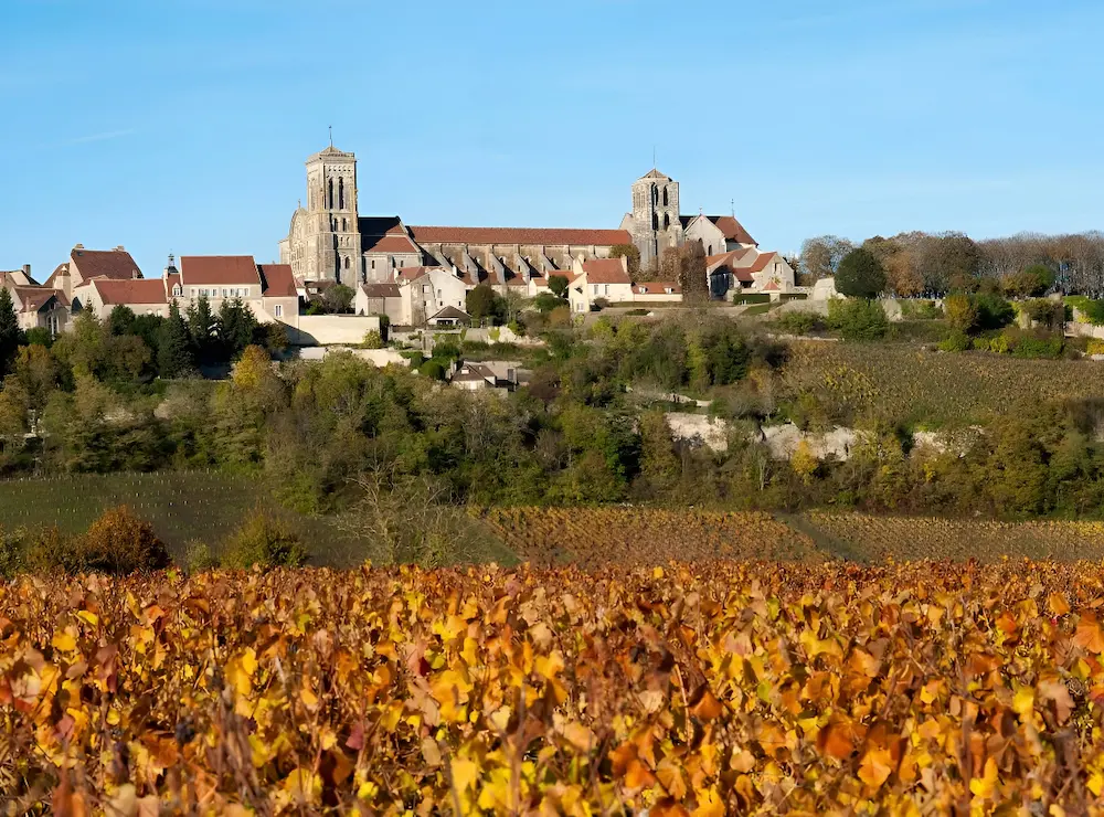 Vignobles de l’Yonne : Chablis et Auxerrois